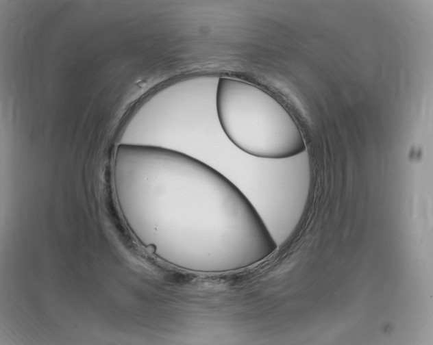X0000096940491200802080902