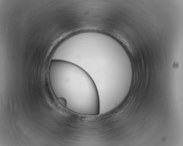 X0000096940492200802080902