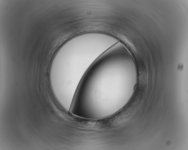 X0000096940493200802080902
