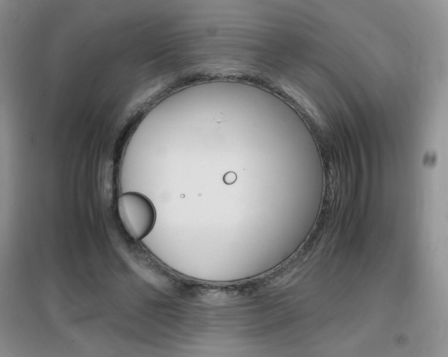 X0000096940494200802080902