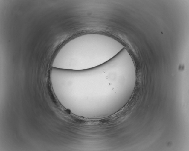 X0000096940495200802080902