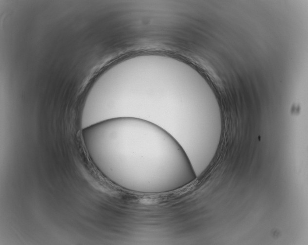 X0000096940496200802080902