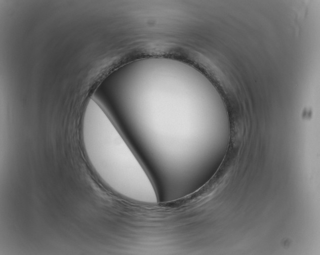 X0000096940497200802080902