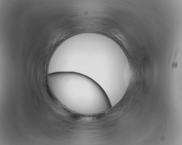X0000096940499200802080902
