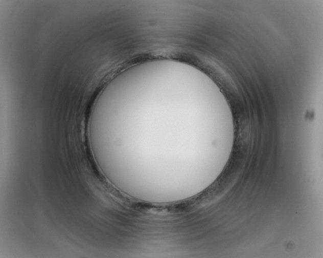 X0000096940502200802080902