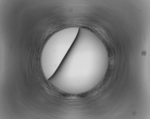 X0000096940503200802080902