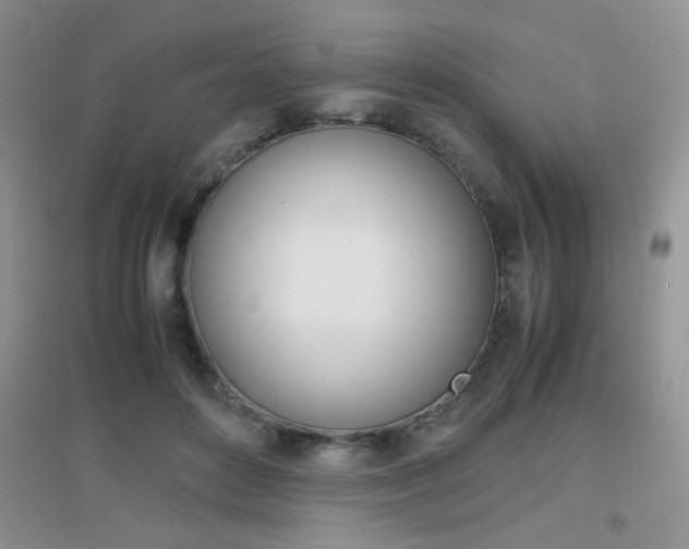 X0000096940504200802080902