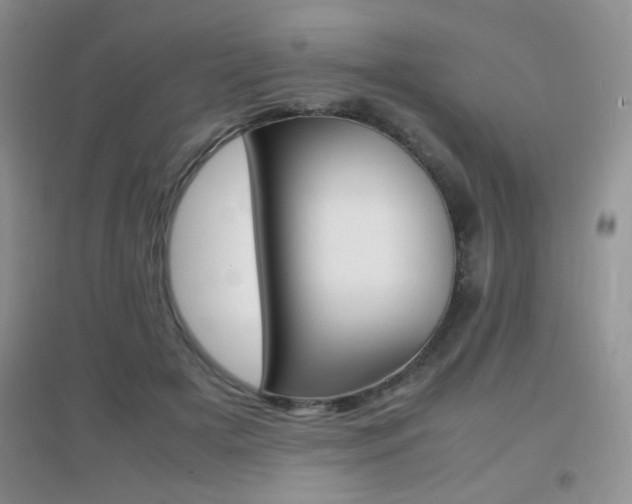 X0000096940505200802080902