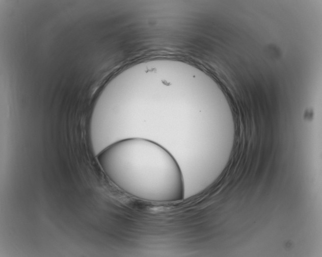 X0000096940508200802080901