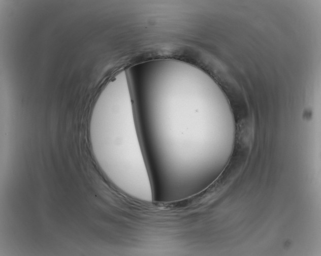 X0000096940509200802080901