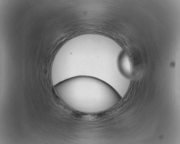 X0000096940511200802080901
