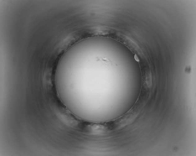 X0000096940512200802080901
