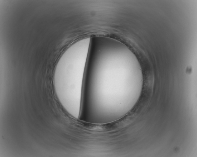 X0000096940513200802080901