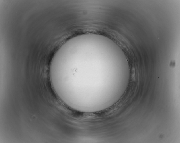 X0000096940514200802080901