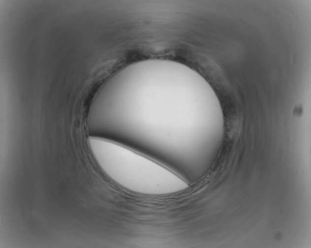 X0000096940515200802080901