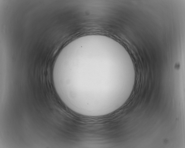 X0000096940516200802080901