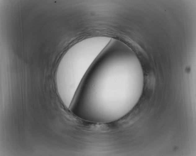 X0000096940517200802080901