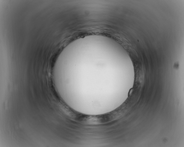 X0000096940518200802080901