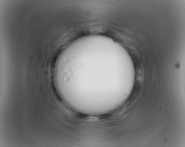 X0000096940519200802080901