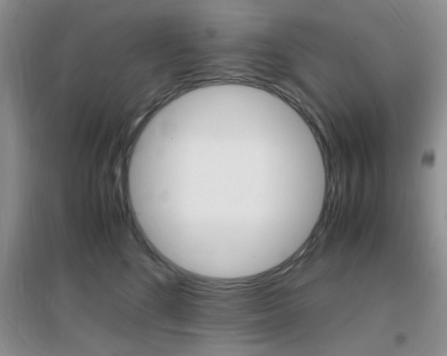 X0000096940520200802080901