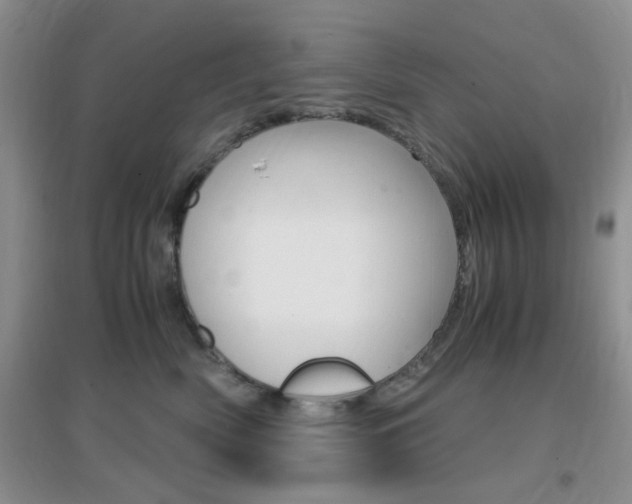 X0000096940522200802080901
