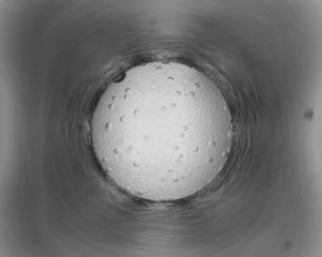 X0000096940523200802080901