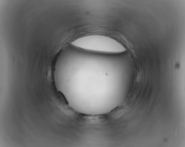 X0000096940524200802080901