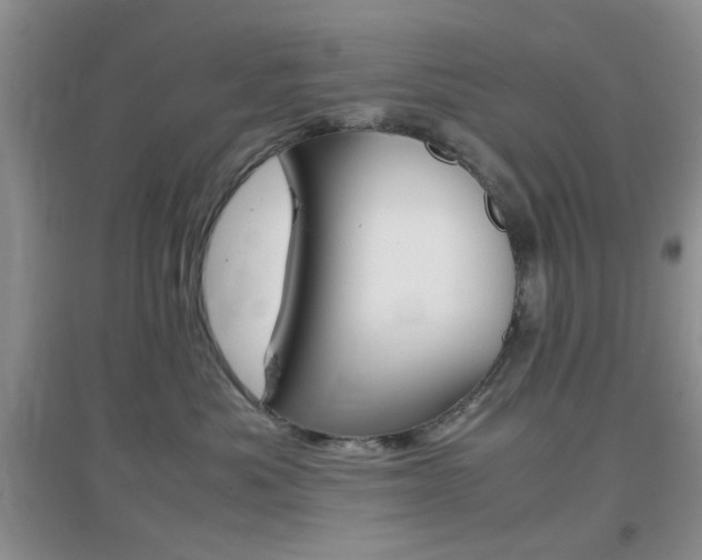 X0000096940525200802080901