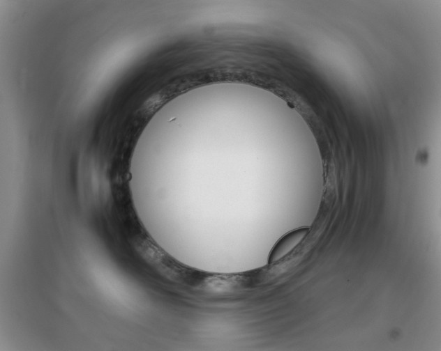 X0000096940526200802080901