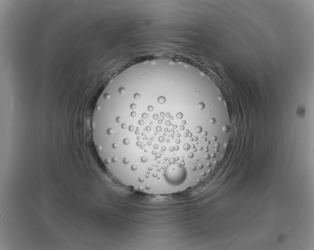 X0000096940527200802080901
