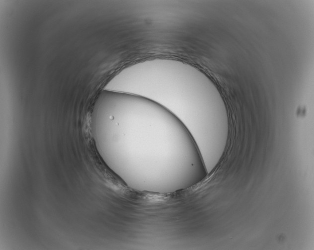X0000096940528200802080901