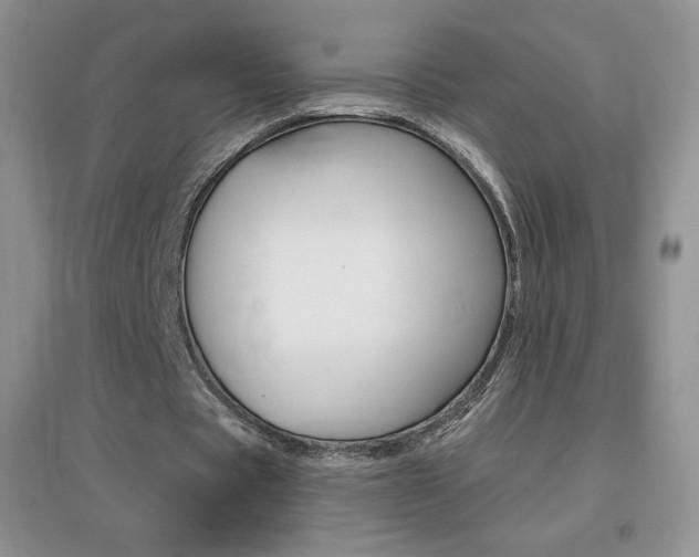 X0000096940529200802080900