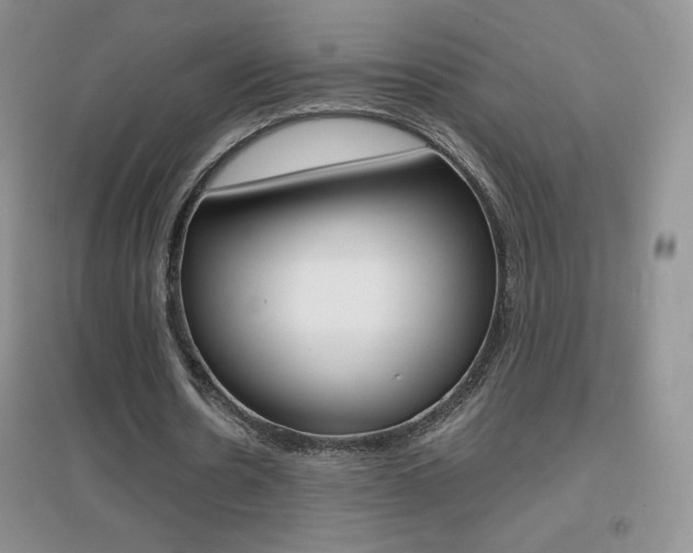 X0000096940530200802080900