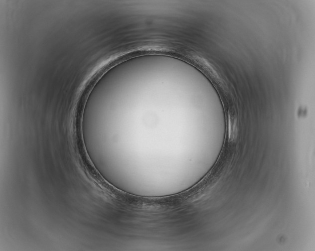 X0000096940531200802080900