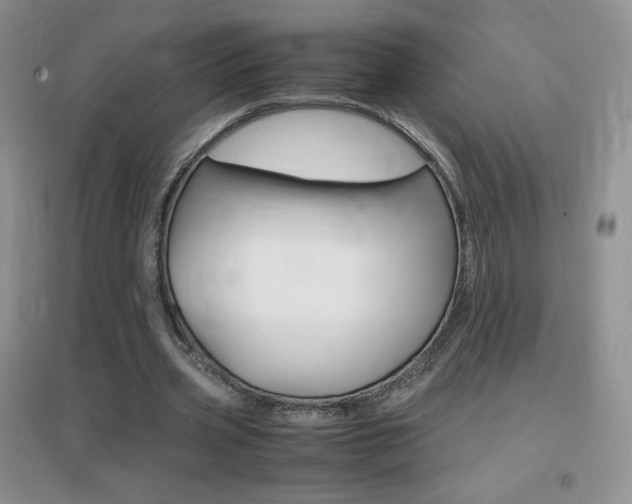 X0000096940533200802080900