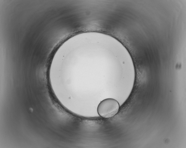 X0000096940534200802080900