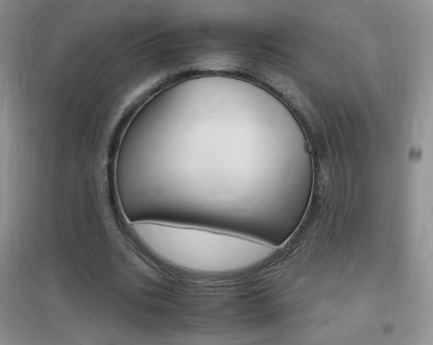 X0000096940535200802080900