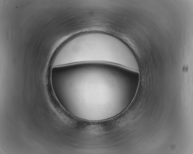 X0000096940536200802080900