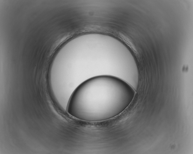 X0000096940538200802080900