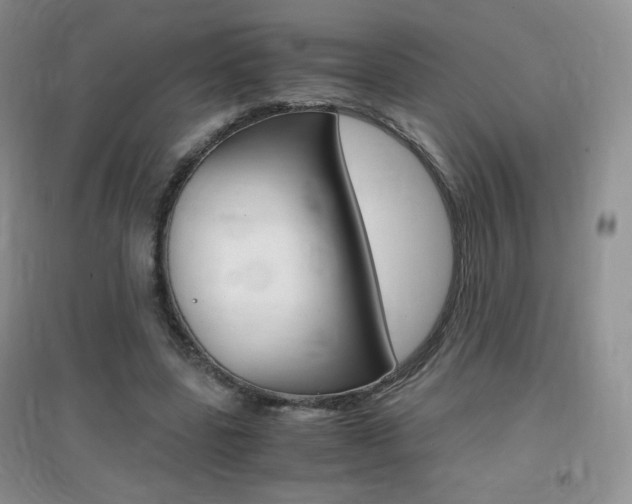 X0000096940539200802080900