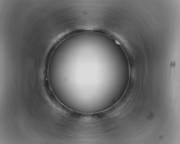 X0000096940540200802080901