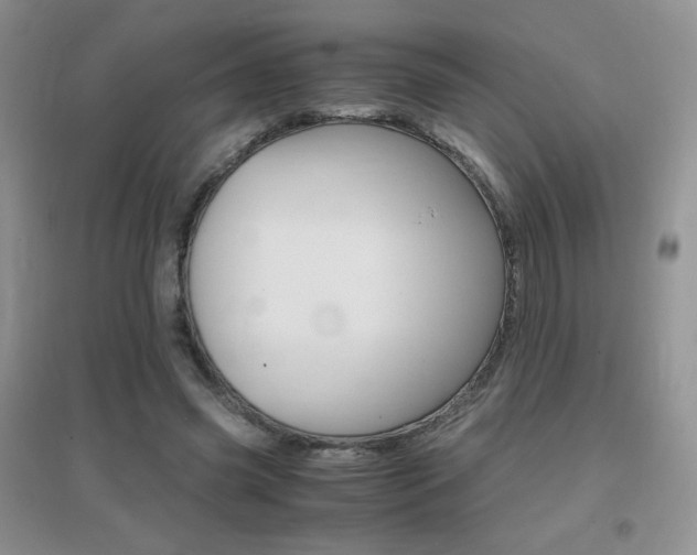X0000096940541200802080901