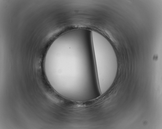 X0000096940543200802080901