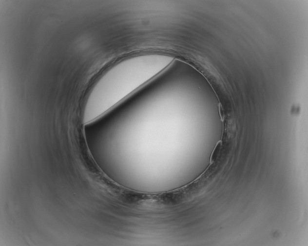 X0000096940544200802080901