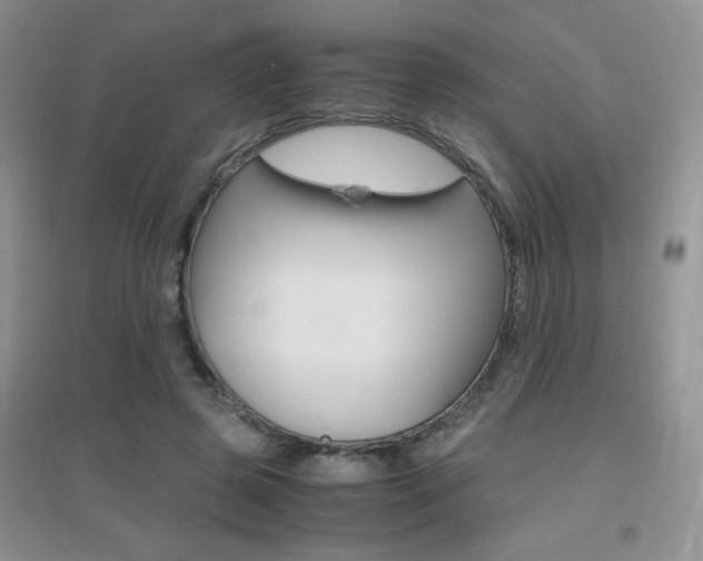 X0000096940545200802080901