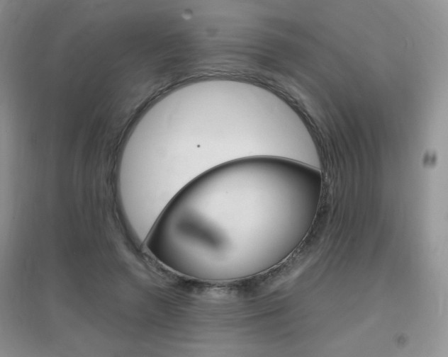 X0000096940546200802080901
