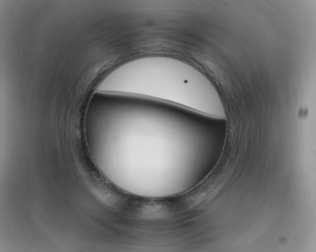 X0000096940547200802080901