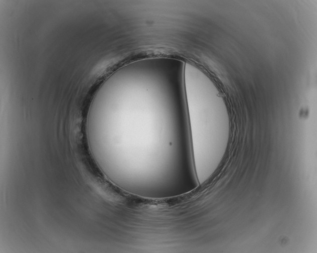 X0000096940548200802080901