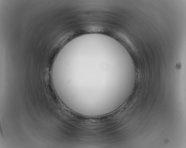 X0000096940549200802080901