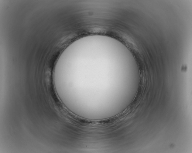 X0000096940550200802080901